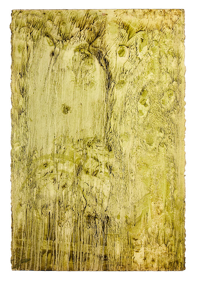 chontaduro papel 12.jpg